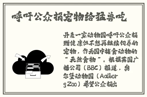 xfb88幸福宝引导